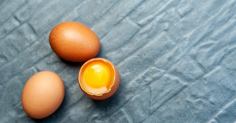 découvrez une variété de recettes à base d'œufs faciles et délicieuses pour tous les repas de la journée.