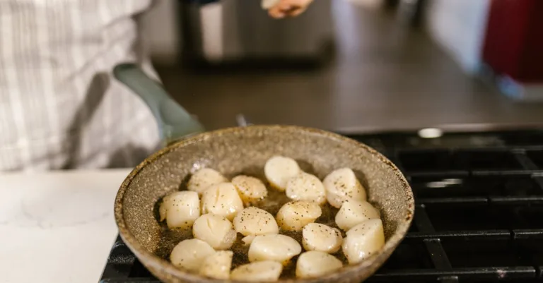 découvrez nos délicieuses coquilles saint-jacques, parfaites pour des recettes savoureuses et raffinées. fraîches et de qualité, elles raviront vos papilles.