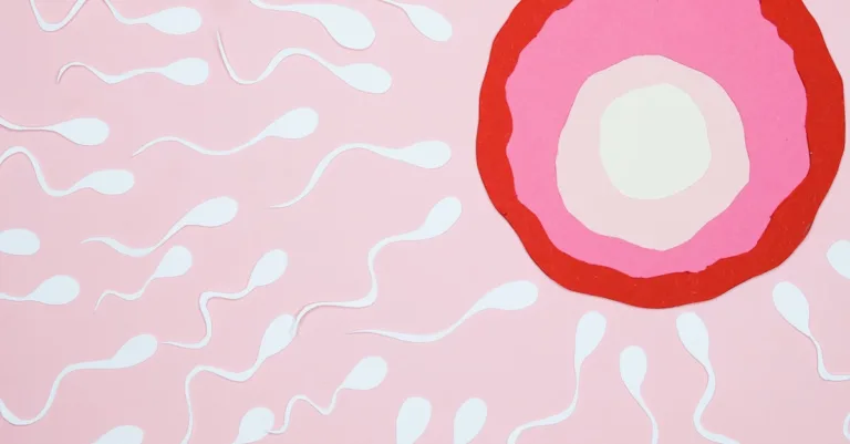 découvrez tout sur les ovules de colpotrophine : usage, posologie, effets et conseils pour un traitement efficace.