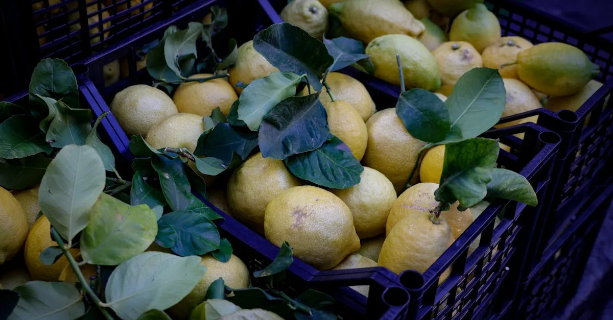 découvrez lemon heart risk : une analyse approfondie des risques liés à lemon heart pour mieux comprendre et gérer vos investissements.