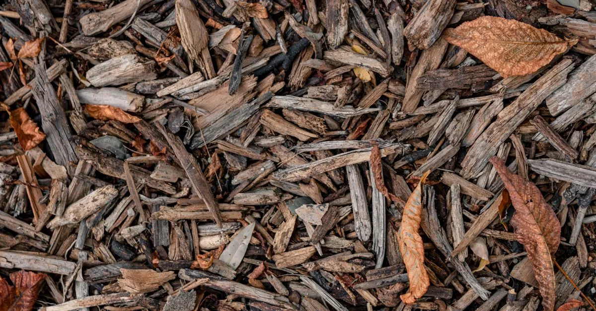 découvrez comment composter efficacement vos déchets organiques pour réduire votre impact environnemental et enrichir votre jardin naturellement.