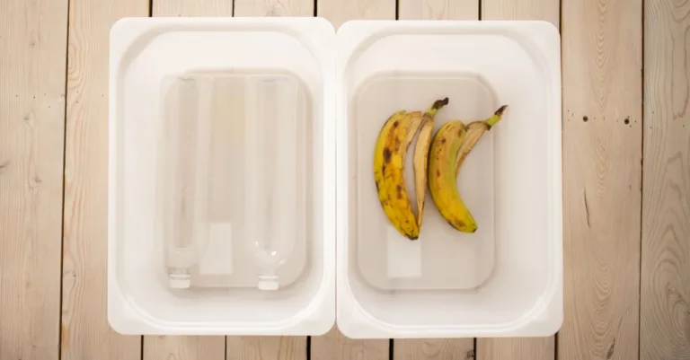 découvrez comment composter efficacement vos déchets organiques pour enrichir votre jardin tout en réduisant votre impact environnemental.