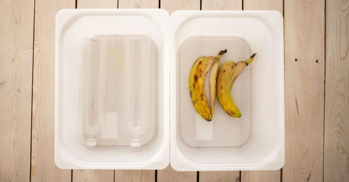 découvrez comment composter efficacement vos déchets organiques pour enrichir votre jardin tout en réduisant votre impact environnemental.