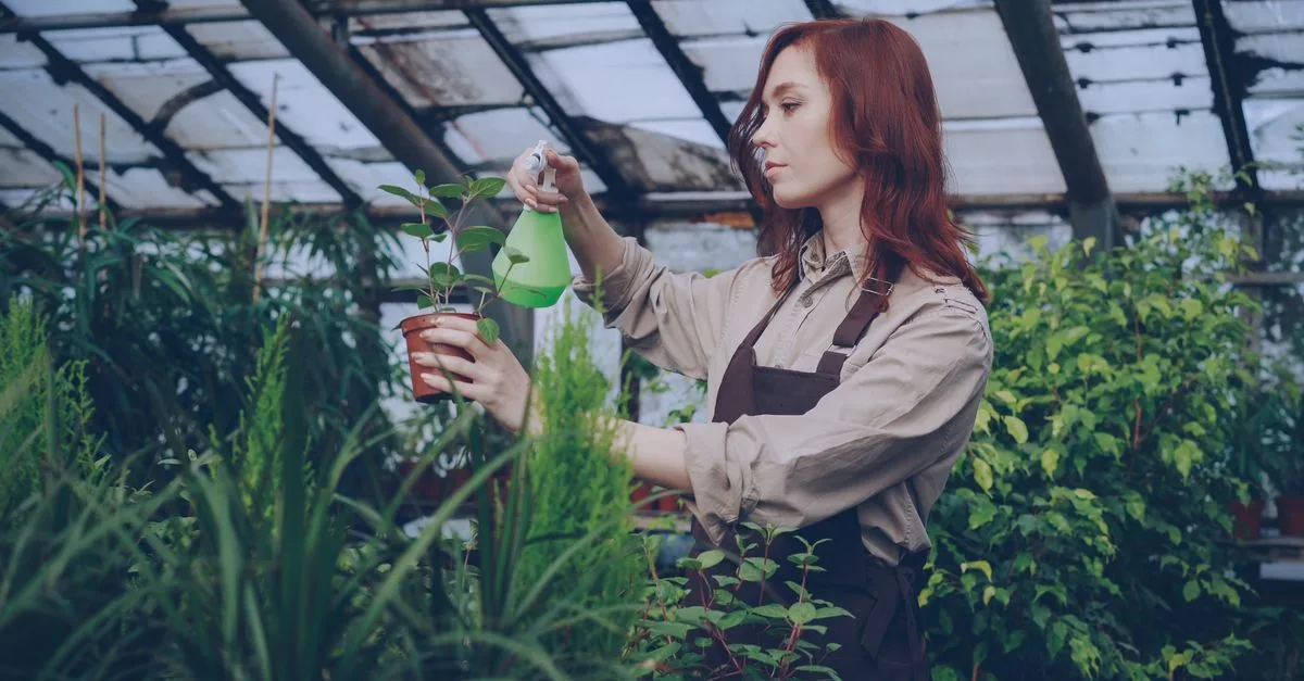 chauffage écologique pour serre de jardin : solutions durables et respectueuses de l'environnement pour maintenir une température optimale toute l'année.