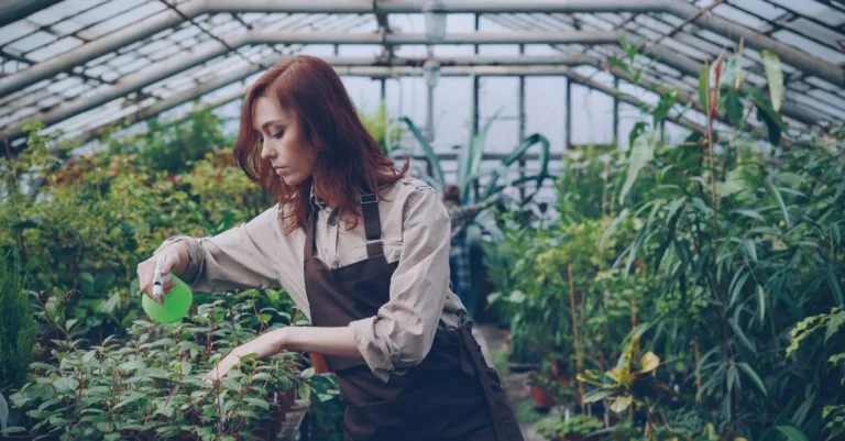 chauffage écologique pour serre de jardin : solutions durables et économiques pour maintenir une température optimale tout en respectant l'environnement.