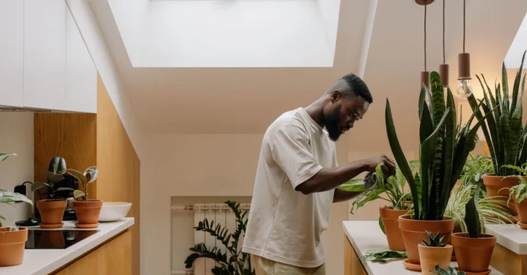 améliorez votre maison de manière écologique avec des solutions durables et respectueuses de l'environnement pour un habitat sain et économe en énergie.
