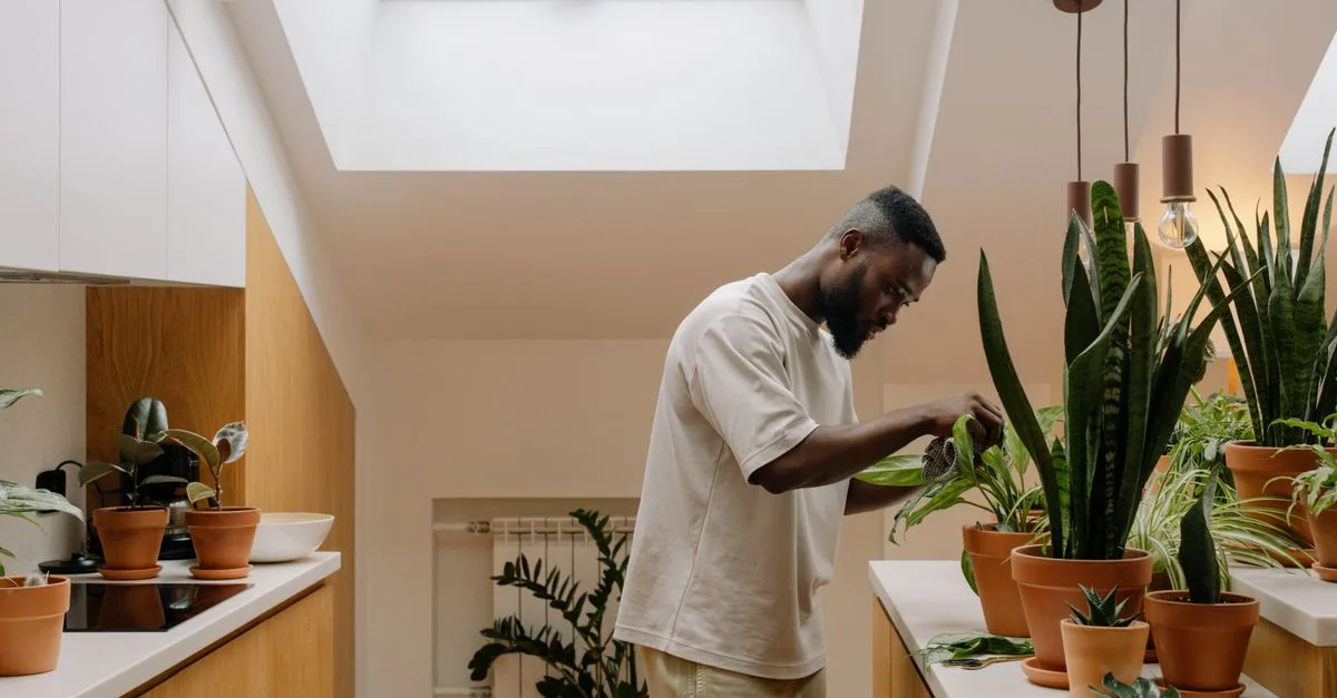 améliorez votre maison de manière écologique avec des solutions durables et respectueuses de l'environnement pour un habitat sain et économe en énergie.