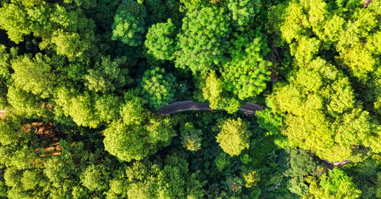 découvrez les réglementations environnementales essentielles pour protéger notre planète, comprenant les lois, normes et pratiques durables à suivre.