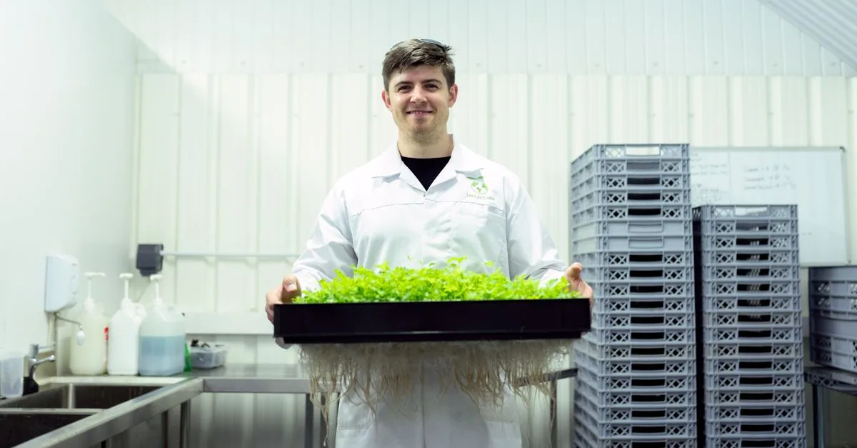 découvrez l'agriculture écologique innovante, alliant respect de l'environnement et technologies avancées pour une production durable et responsable.