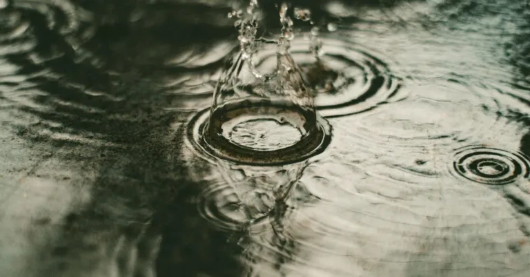 découvrez les techniques efficaces de collecte et de réutilisation de l'eau de pluie pour économiser l'eau et préserver l'environnement.