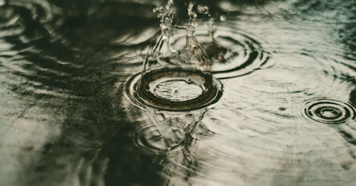 découvrez les techniques efficaces de collecte et de réutilisation de l'eau de pluie pour économiser l'eau et préserver l'environnement.