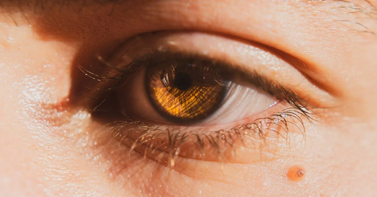 découvrez la thermocoagulation, une technique médicale innovante utilisée pour traiter efficacement diverses affections grâce à la chaleur. informations, avantages et procédures expliqués.
