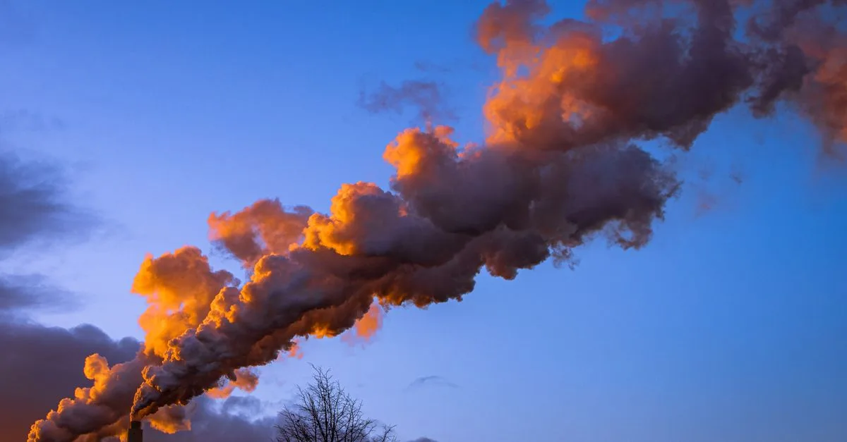 découvrez des stratégies efficaces pour réduire votre empreinte carbone et contribuer à la protection de l'environnement.