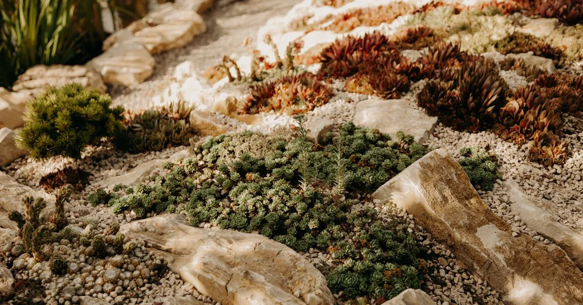 découvrez des plantes couvre-sol résistantes à la sécheresse, idéales pour économiser l'eau et embellir votre jardin même en période de sécheresse.