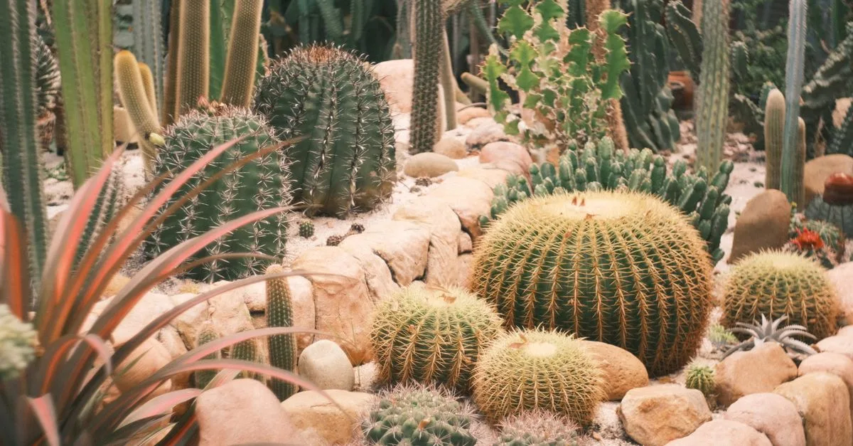 protégez votre jardin de la sécheresse grâce à des solutions efficaces pour préserver l'humidité du sol et assurer la santé de vos plantes toute l'année.