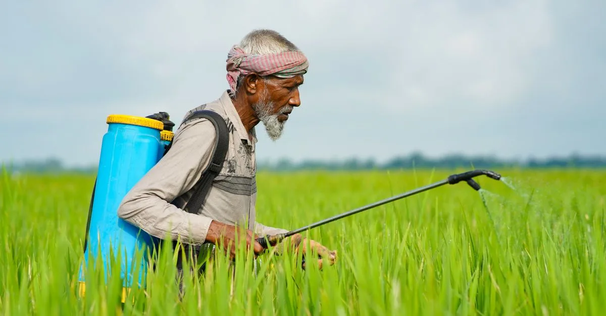 découvrez notre gamme efficace d'herbicides pour éliminer les mauvaises herbes et protéger vos cultures. solutions adaptées pour un jardin sain et productif.