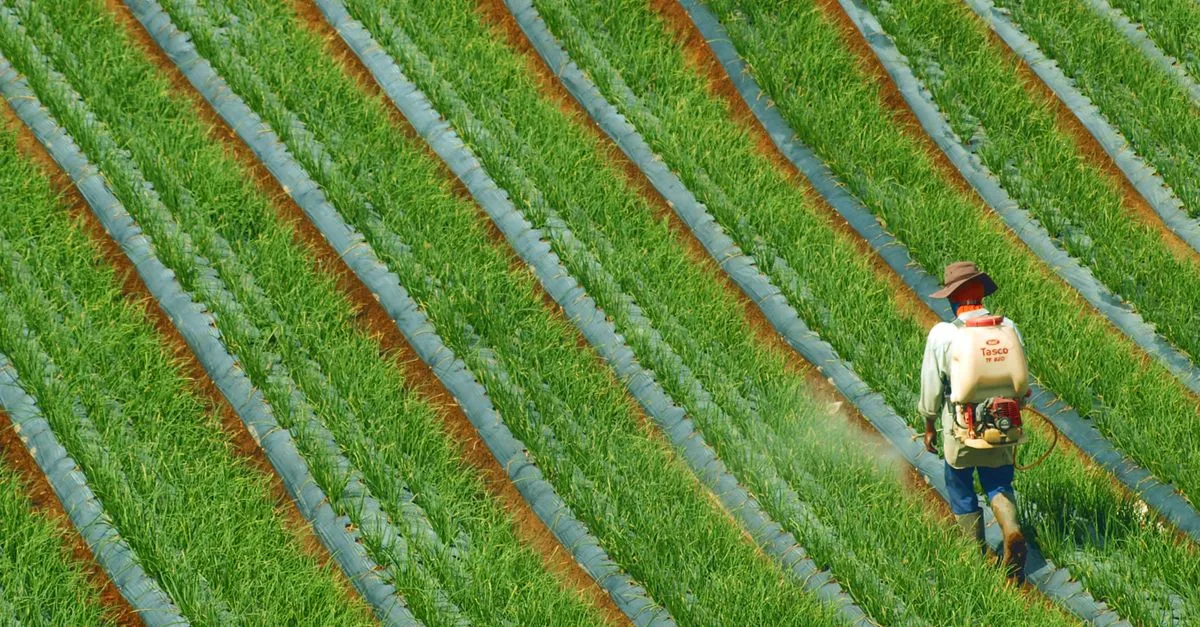 découvrez notre sélection d'herbicides efficaces pour protéger vos cultures des mauvaises herbes et optimiser votre rendement agricole.