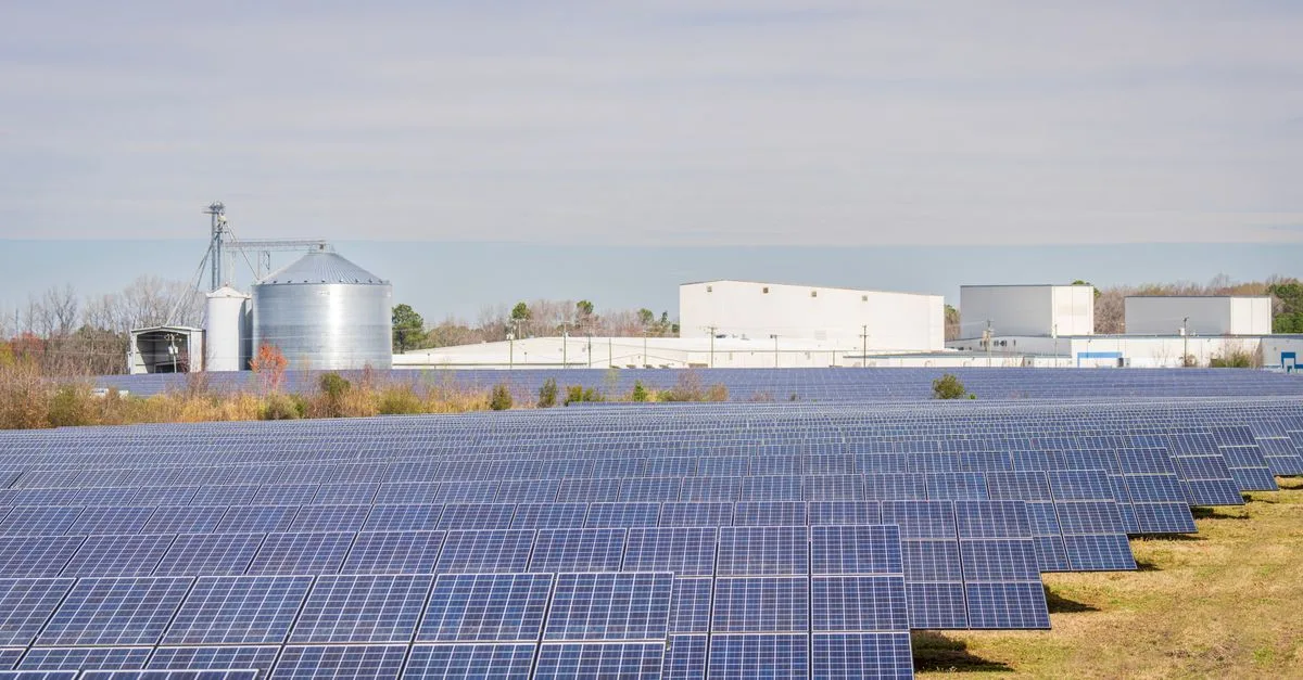 production d'électricité en autoconsommation : optimisez l'utilisation de votre énergie solaire pour réduire vos factures et devenir plus autonome.