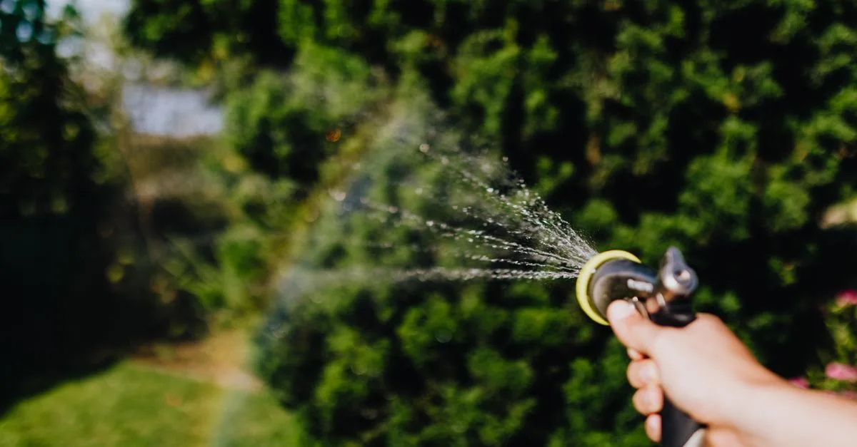 découvrez des techniques efficaces pour conserver l'eau dans le jardinage et adopter des pratiques durables qui préservent les ressources naturelles.