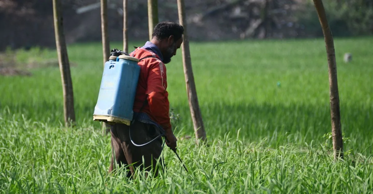 réglementation des herbicides à base de vinaigre blanc : découvrez les lois et normes en vigueur pour l'utilisation sécurisée de ce désherbant naturel.