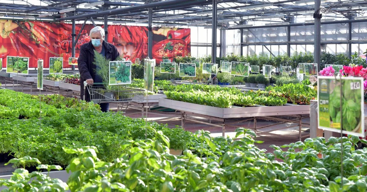 découvrez les ouvertures grand frais prévues en 2025 et profitez des nouveautés et promotions dans vos magasins alimentaires préférés.