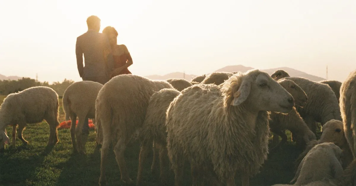 découvrez les clés d'une coexistence harmonieuse pour vivre ensemble dans le respect, la paix et la compréhension mutuelle.