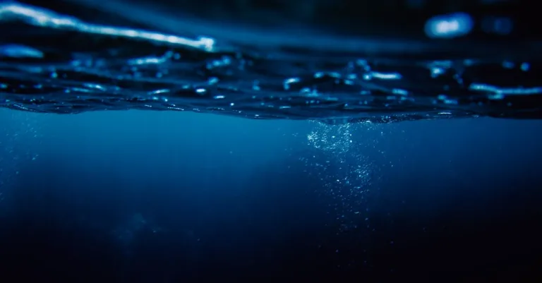 découvrez les symptômes de la thalassophobie, cette peur intense des eaux profondes, et apprenez à reconnaître ses manifestations au quotidien.
